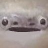 Фото профиля CEO of 🐟 𝑺𝒂𝒄𝒂𝒃𝒂𝒎𝒃𝒂𝒔𝒑𝒊𝒔 🐟