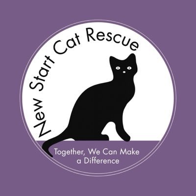 New Start Cat Rescue🐾💜🐾's profile picture