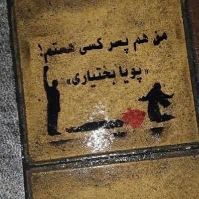 M__bakhtyari2's profile picture