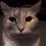 RGE OggY profil fotoğrafı