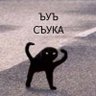 Profilbild von Дейв