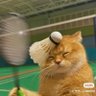 ib's profile picture