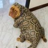 Profilbild von เทวดาเดินดิน