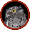 Profilbild von Session