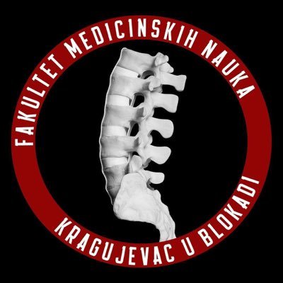 FMN KG BLOKADA's profile picture