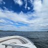 Фото профиля BoatGuy