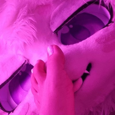 KibbySoftPaws🏳️‍⚧️'s profile picture