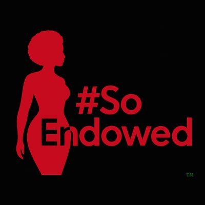 _SoEndowed's profile picture