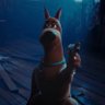 ScoobieDoobie's profile picture