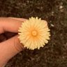 Фото профиля Mang Cin