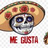 Tacos is life profil fotoğrafı