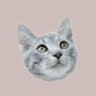Profilbild von 𝘴𝘶🐯🩷