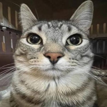 RadiumConsumer's profile picture