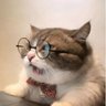 Emilio Gonzalez's profile picture