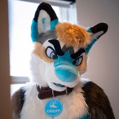 Coastal 🐺's profile picture