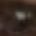 Scabby McScabberson's profile picture