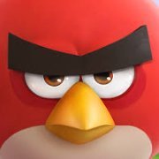 Dip's profile picture