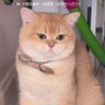 Фото профиля 🦋First_nueng🐱