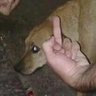 Profilbild von scum johnson