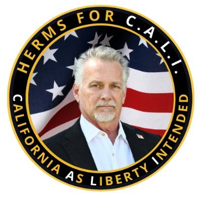 Screw Big Gov - Lewis Herms's profile picture