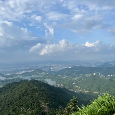 xinhui999's profile picture