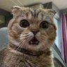 Bunhaw's profile picture