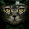 KillSwitch's profile picture
