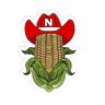 UnitedByCorn's profile picture