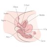 LOVEBOMB profil fotoğrafı