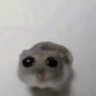 Mexxx's profile picture
