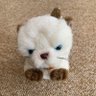 I LOVE ジョニー's profile picture
