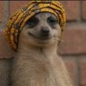 Adeola's profile picture