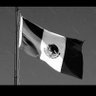 Manuel profil fotoğrafı