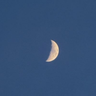 tin's profile picture
