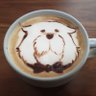 いうぬのふ's profile picture