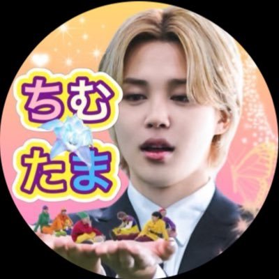 ちむ༯たま🐥치무타마 🌛🌔🌕🌖🌜's profile picture