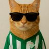 Фото профиля Ilustrisimo señor Don Gato