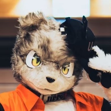 ãžãã / Jippo â¡ïž ã±ã¢ãã¹ã¯ãšã¢'s profile picture