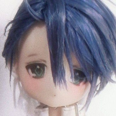 losefly's profile picture