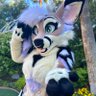 🌙 Luna🌙@TFF 的头像