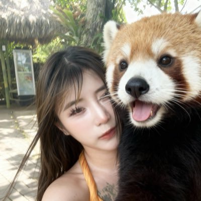 alice wong's profile picture