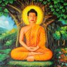 சே 的头像
