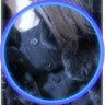 ✧ のあ ✧ 的头像