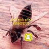 العلاج بلسعات النحل 0553472772🐝🐝 profil fotoğrafı
