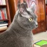 Фото профиля Kittie R.