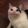 Profilbild von Philippe