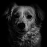 Profilbild von Diego BS
