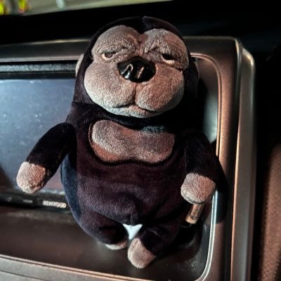 さわゆう's profile picture