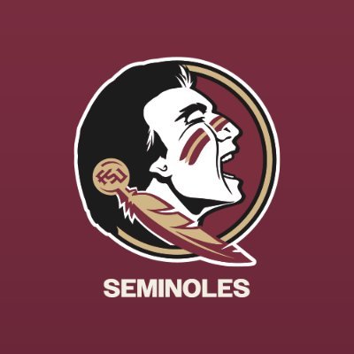FSU Seminoles's profile picture