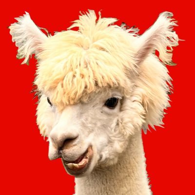 003ssa's profile picture